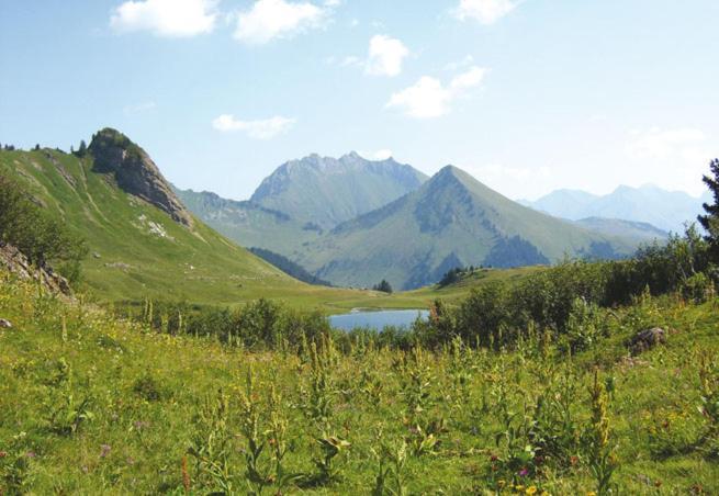 Studio Cabine Praz De Lys 타낭즈 외부 사진